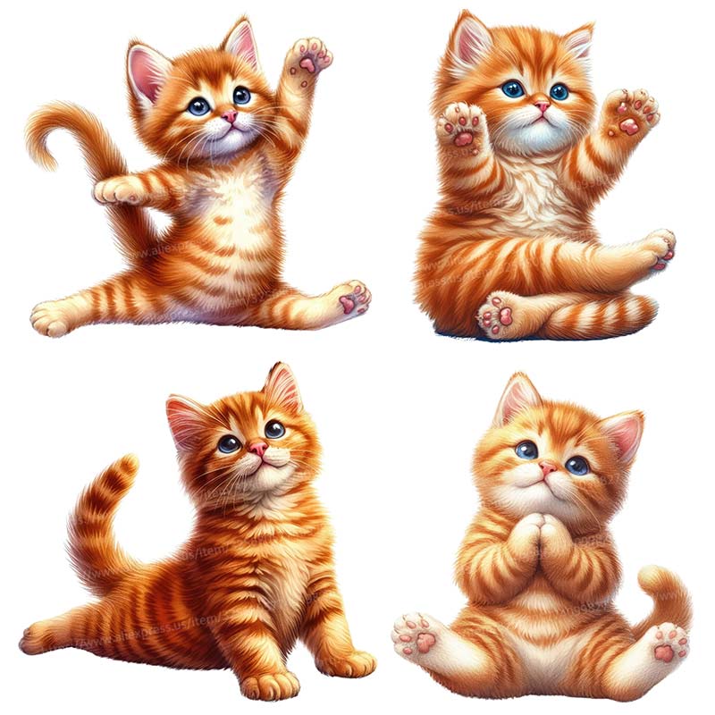 Stiker dinding kucing Yoga sti - Kitchen Appliances Design ulasan dan harga